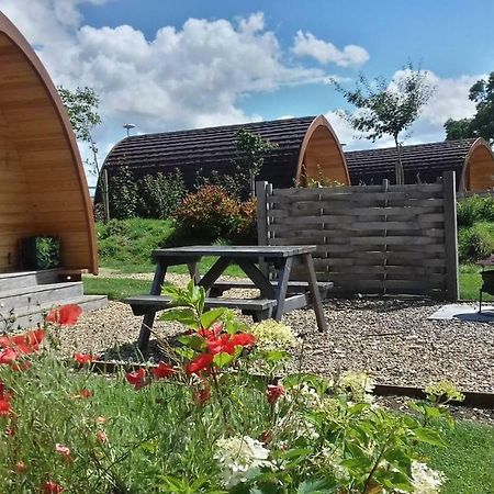 Buttercup Glamping Pod Hotel Cheltenham Exterior photo